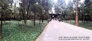 Chendgu 022